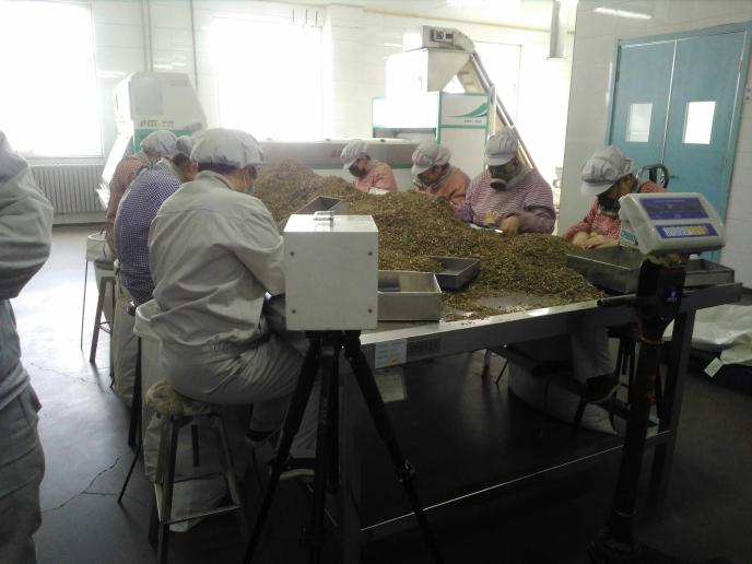 1615428456858_1615428446188