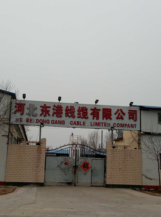 1616554169418_1616554158652