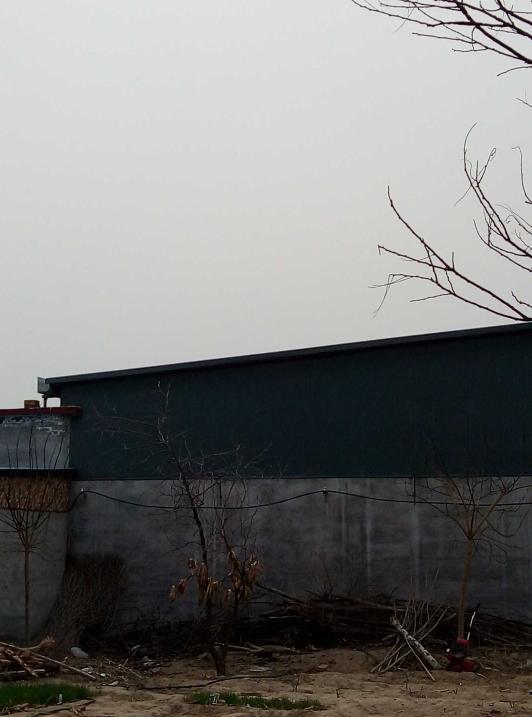 1616556087536_1616556006517