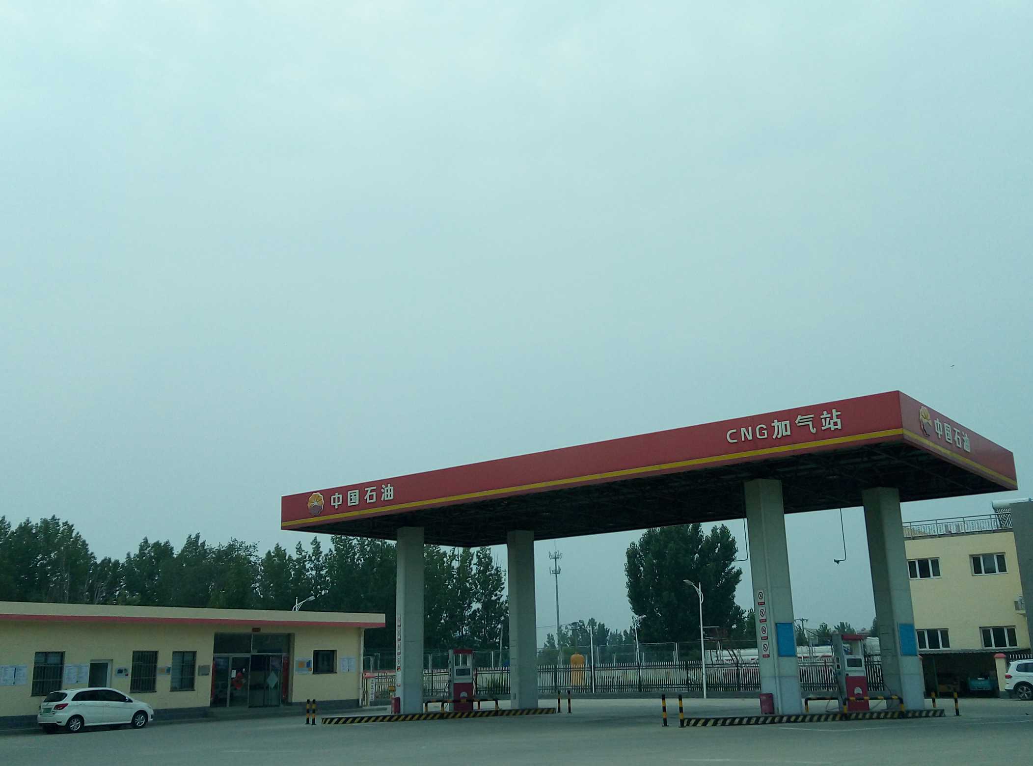 1623199895819_1623199875681 (1)