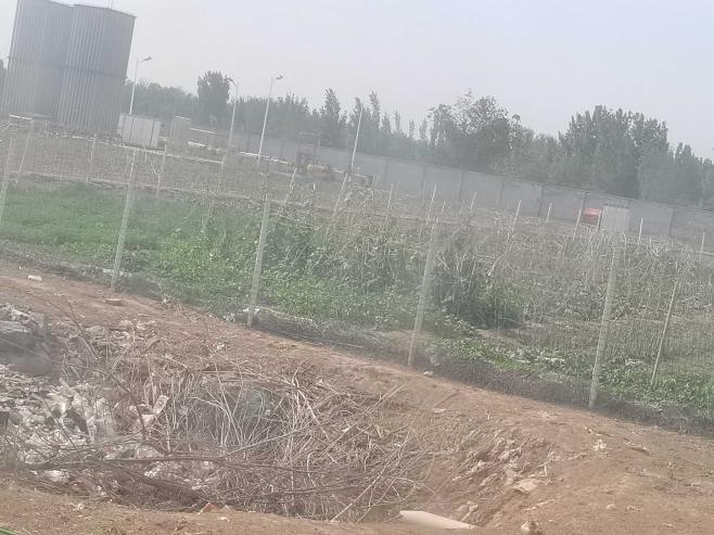 1623398934513_1623398912647