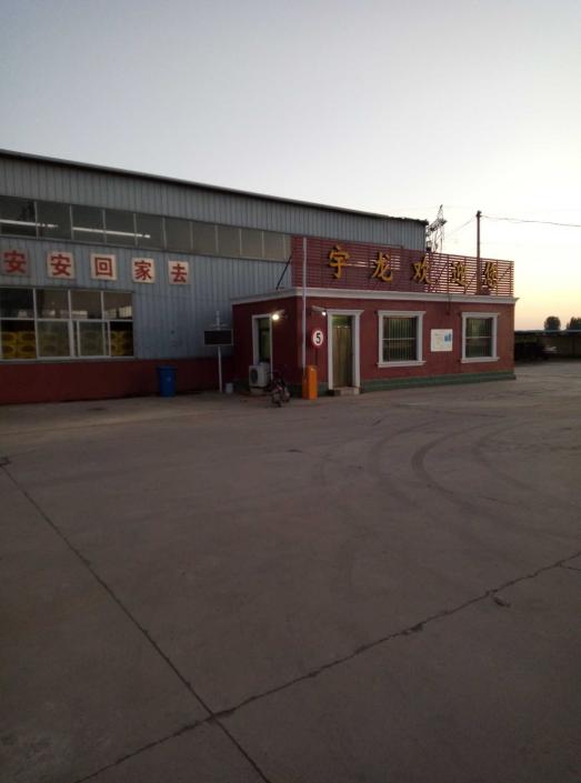 1631011499378_1631011490876