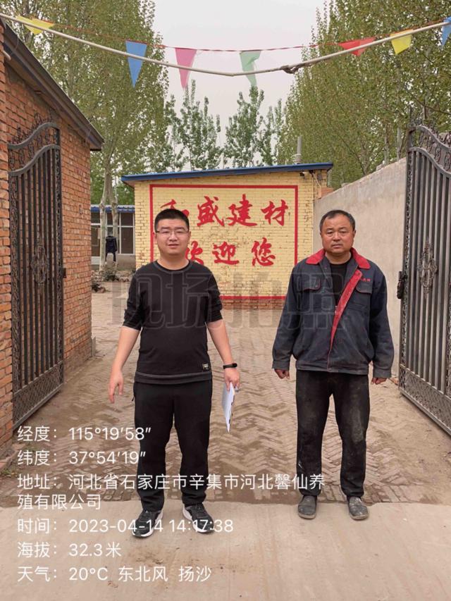 调查照片