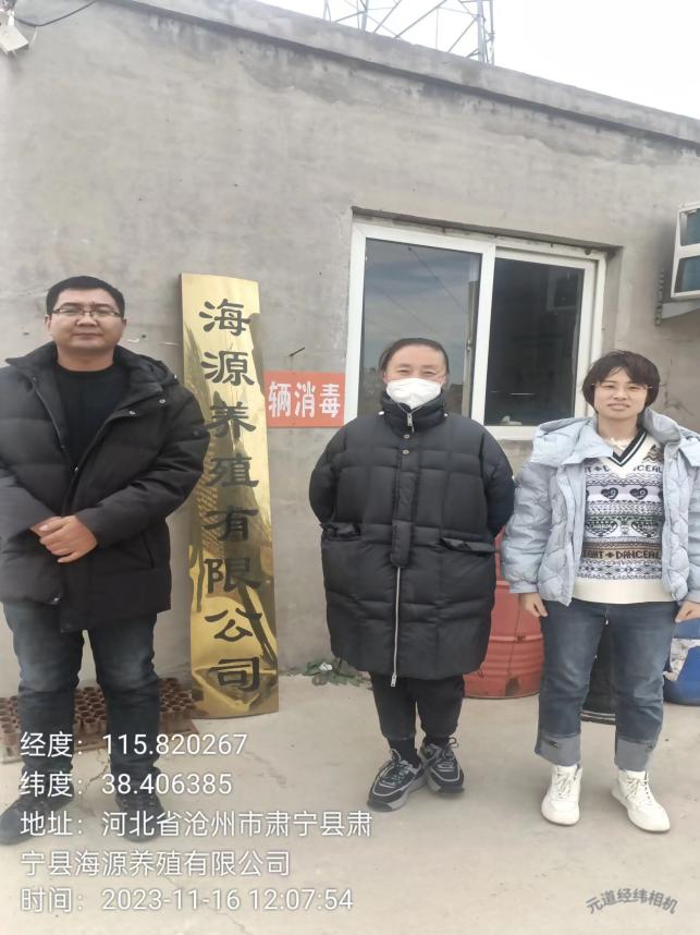 影像资料